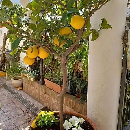 Profumo Di Bergamotto לינה וארוחת בוקר רג'יו די קאלאבריה