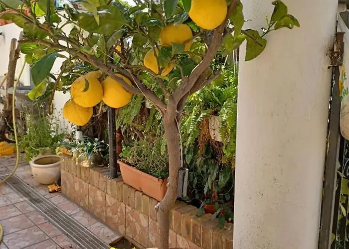 Profumo Di Bergamotto Panzió Reggio di Calabria